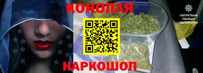 Альфа ПВП Кингисепп