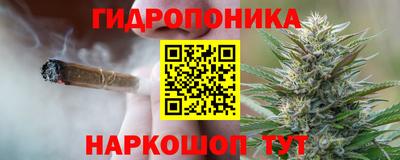 Альфа ПВП Кингисепп