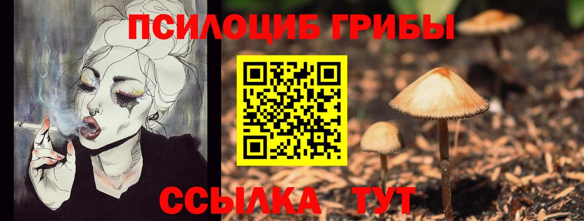 Галлюциногенные грибы GOLDEN TEACHER Шадринск